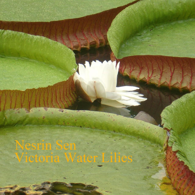 Photograph Nesrin Sen, Record cover, Victoria Water Lilies.